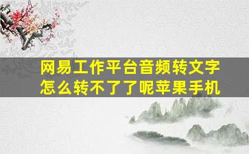 网易工作平台音频转文字怎么转不了了呢苹果手机