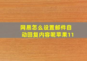 网易怎么设置邮件自动回复内容呢苹果11