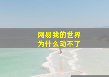 网易我的世界为什么动不了