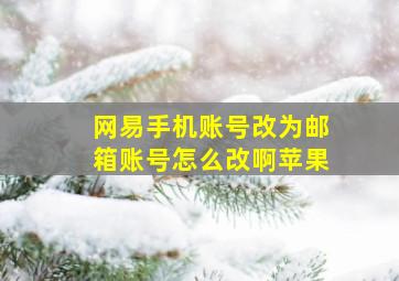 网易手机账号改为邮箱账号怎么改啊苹果