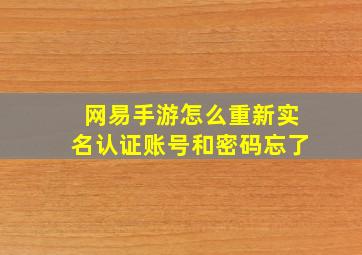 网易手游怎么重新实名认证账号和密码忘了