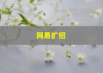 网易扩招