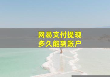 网易支付提现多久能到账户