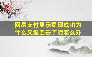 网易支付显示提现成功为什么又退回去了呢怎么办