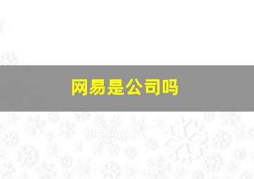 网易是公司吗