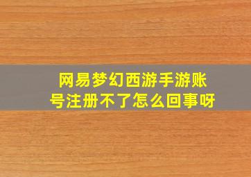 网易梦幻西游手游账号注册不了怎么回事呀