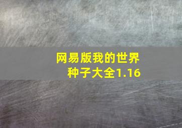 网易版我的世界种子大全1.16