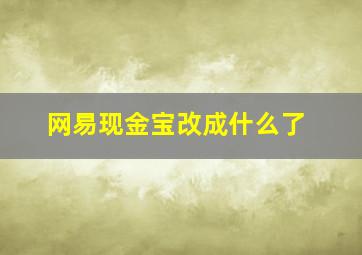 网易现金宝改成什么了