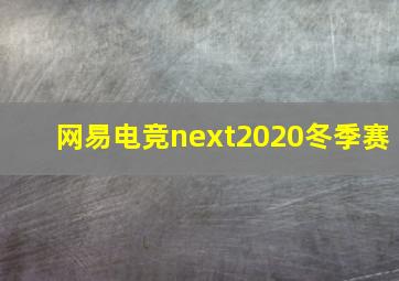 网易电竞next2020冬季赛