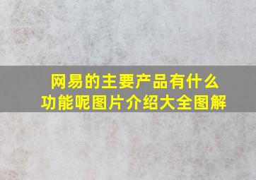 网易的主要产品有什么功能呢图片介绍大全图解