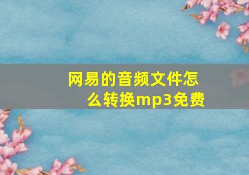 网易的音频文件怎么转换mp3免费