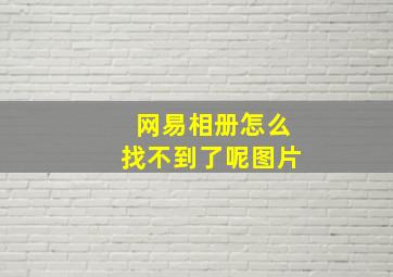 网易相册怎么找不到了呢图片