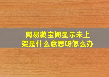 网易藏宝阁显示未上架是什么意思呀怎么办