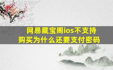 网易藏宝阁ios不支持购买为什么还要支付密码