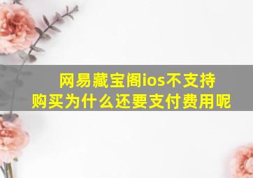 网易藏宝阁ios不支持购买为什么还要支付费用呢