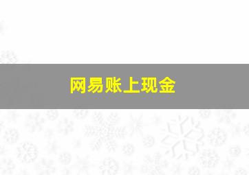 网易账上现金