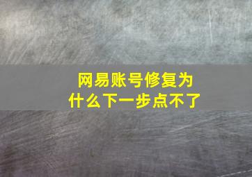 网易账号修复为什么下一步点不了