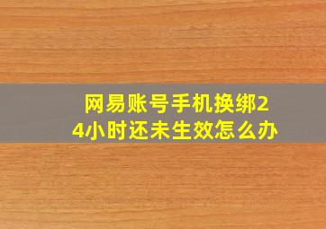 网易账号手机换绑24小时还未生效怎么办