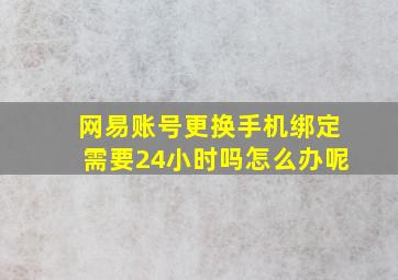 网易账号更换手机绑定需要24小时吗怎么办呢