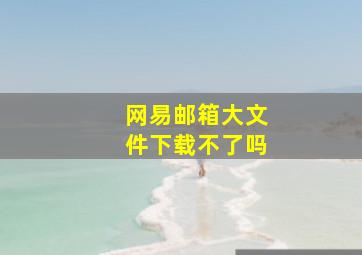 网易邮箱大文件下载不了吗