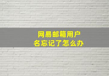 网易邮箱用户名忘记了怎么办