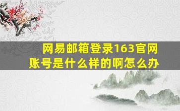 网易邮箱登录163官网账号是什么样的啊怎么办