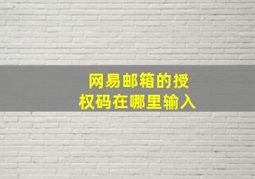 网易邮箱的授权码在哪里输入