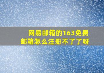 网易邮箱的163免费邮箱怎么注册不了了呀