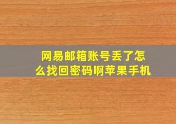 网易邮箱账号丢了怎么找回密码啊苹果手机