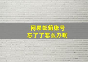 网易邮箱账号忘了了怎么办啊