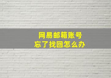 网易邮箱账号忘了找回怎么办