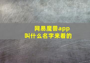 网易魔兽app叫什么名字来着的