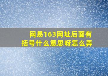 网易163网址后面有括号什么意思呀怎么弄