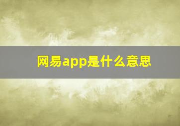 网易app是什么意思