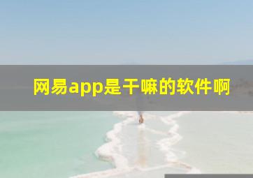 网易app是干嘛的软件啊