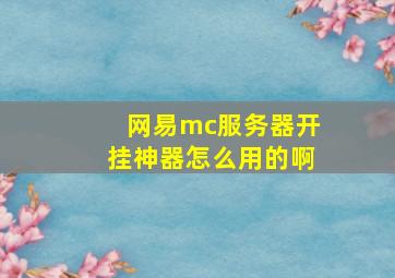 网易mc服务器开挂神器怎么用的啊