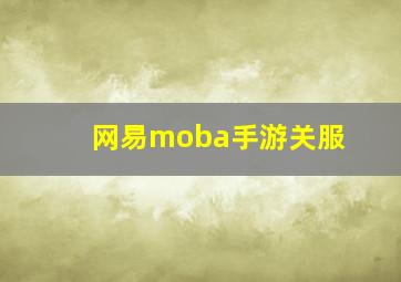 网易moba手游关服