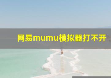 网易mumu模拟器打不开