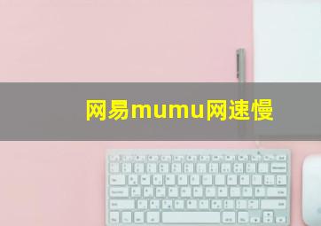 网易mumu网速慢