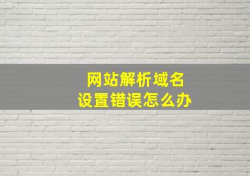 网站解析域名设置错误怎么办