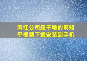 网红公司是干啥的啊知乎视频下载安装到手机