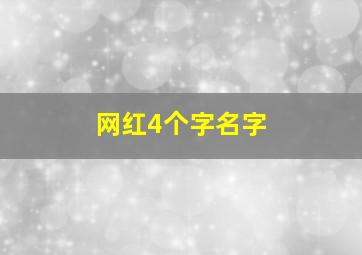 网红4个字名字