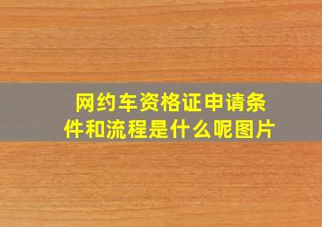 网约车资格证申请条件和流程是什么呢图片