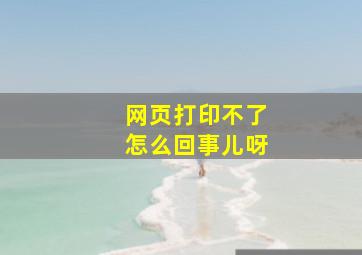 网页打印不了怎么回事儿呀