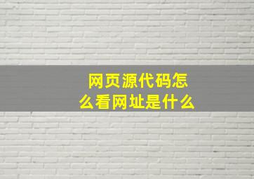 网页源代码怎么看网址是什么