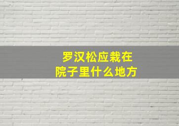 罗汉松应栽在院子里什么地方