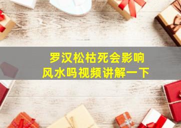 罗汉松枯死会影响风水吗视频讲解一下