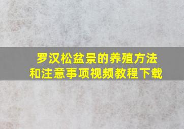 罗汉松盆景的养殖方法和注意事项视频教程下载