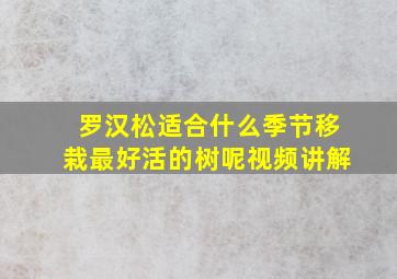 罗汉松适合什么季节移栽最好活的树呢视频讲解