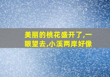 美丽的桃花盛开了,一眼望去,小溪两岸好像